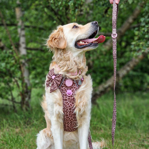 Lead - Leopard Print