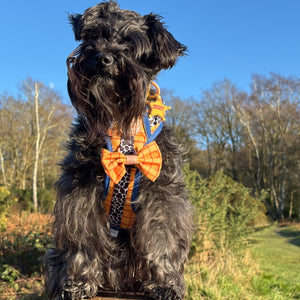 Disney© Bow Tie - Woody