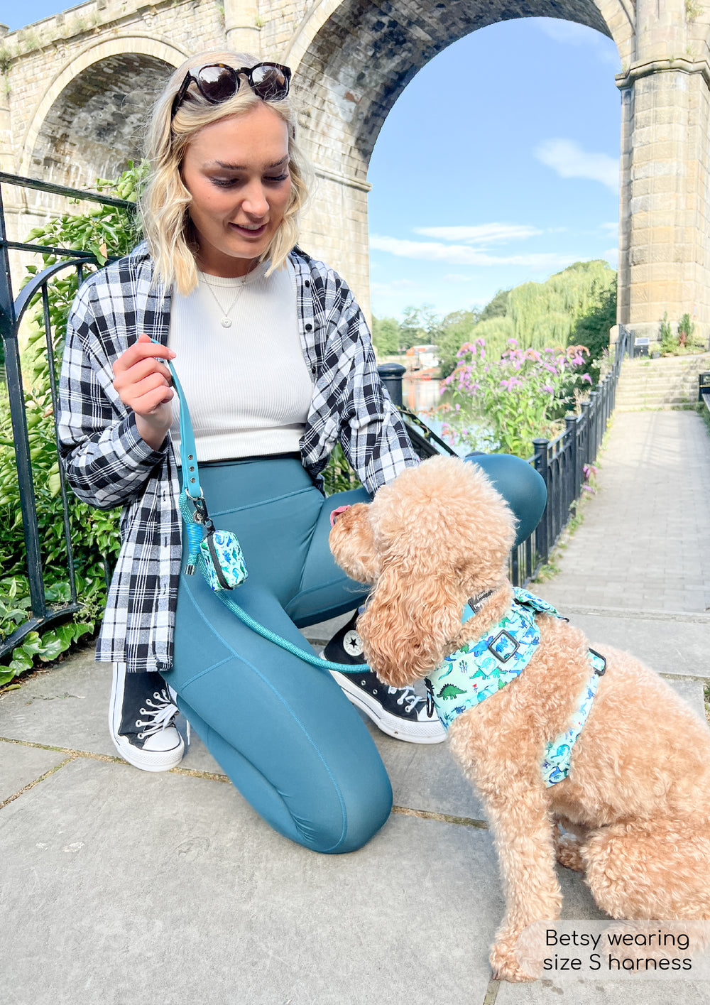 Poo Bag Holder - Dinky Dino