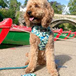 Poo Bag Holder - Dinky Dino