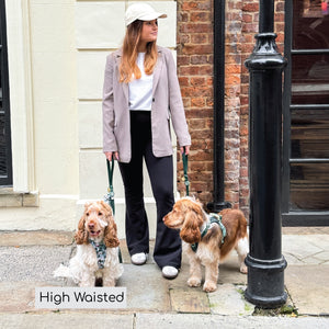 Flared Leggings - Black