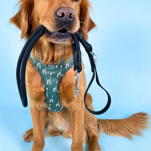 4ft Rope Lead - Black