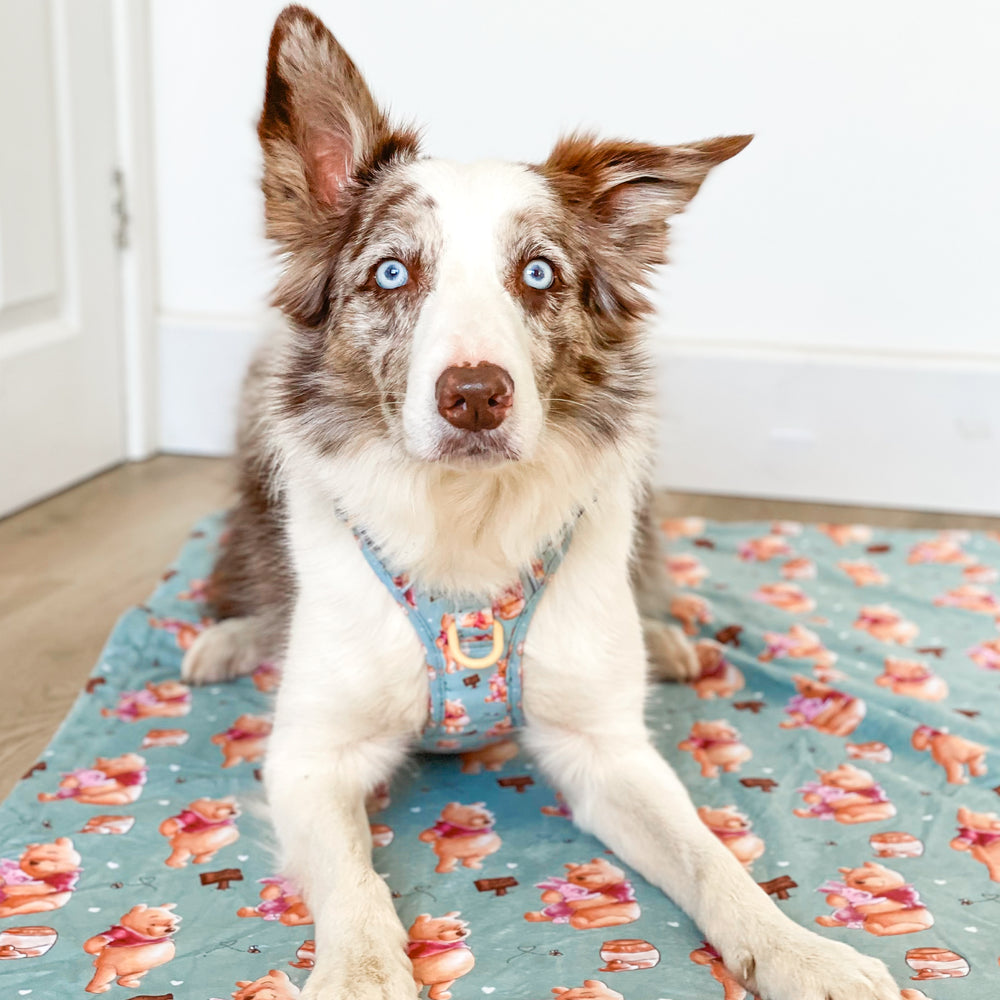 Disney© Dog Blanket - Winnie The Pooh