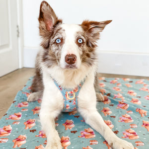 Disney© Dog Blanket - Winnie The Pooh