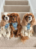 Disney© Tough Trails™ Harness - Tails Of Love