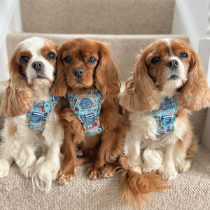 Disney© Tough Trails™ Harness - Tails Of Love