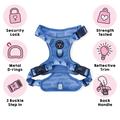 Walkies Ready Cornflower Blue Ultimate Bundle