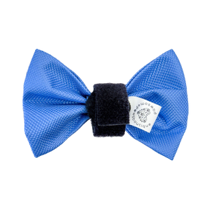 Bow Tie - Walkies Ready® - Cornflower Blue