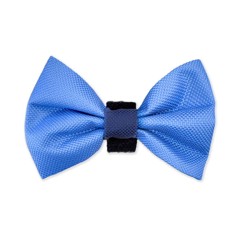 Bow Tie - Walkies Ready® - Cornflower Blue