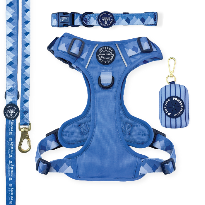 Walkies Ready Cornflower Blue Ultimate Bundle