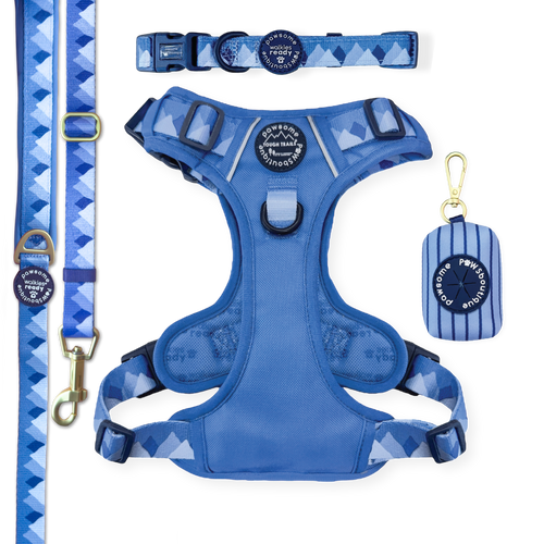 Walkies Ready Cornflower Blue Ultimate Bundle