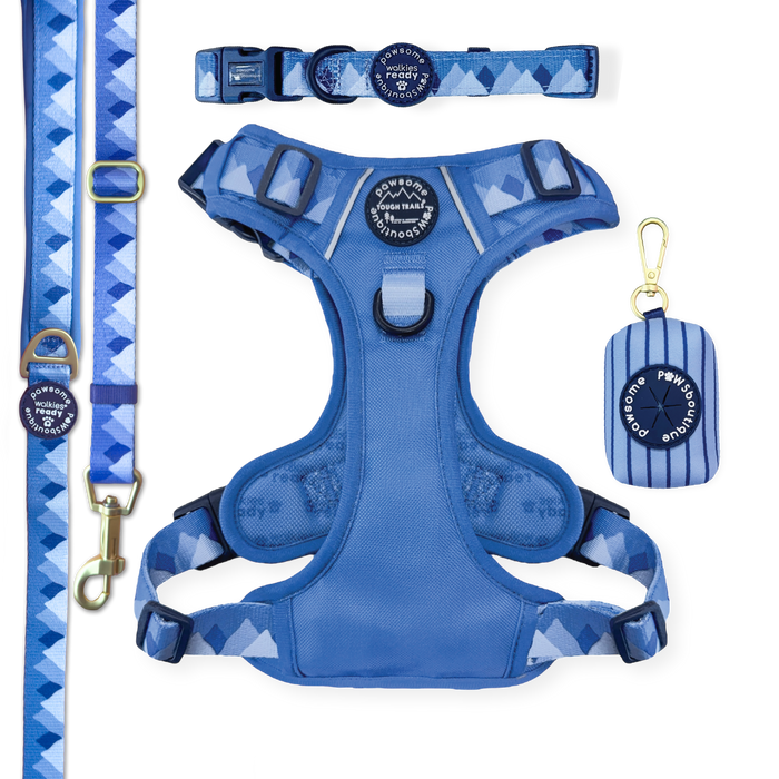 Walkies Ready Cornflower Blue Ultimate Bundle