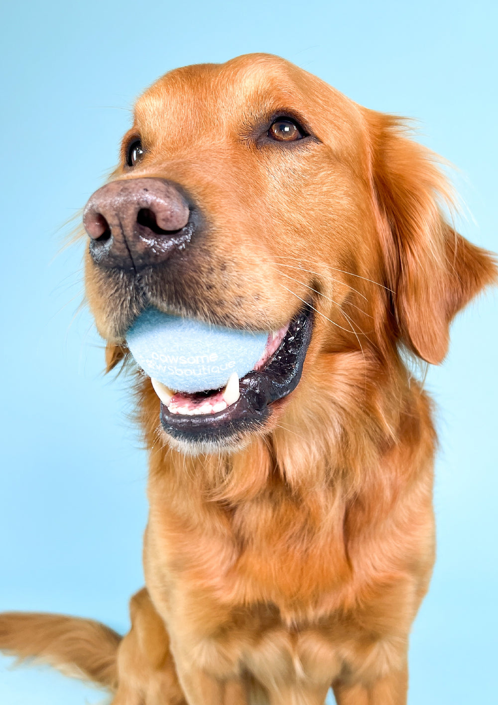 PPB Tennis Ball - Blue