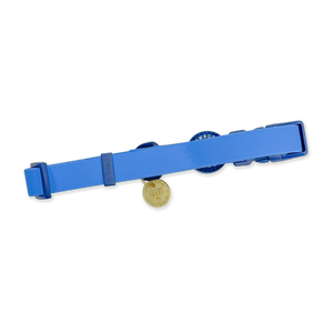 Waterproof Collar - Walkies Ready® Cornflower Blue