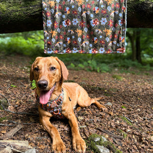 Dog Blanket - Rust & Bloom