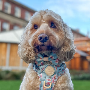 Disney© Bow Tie - Winnie The Pooh