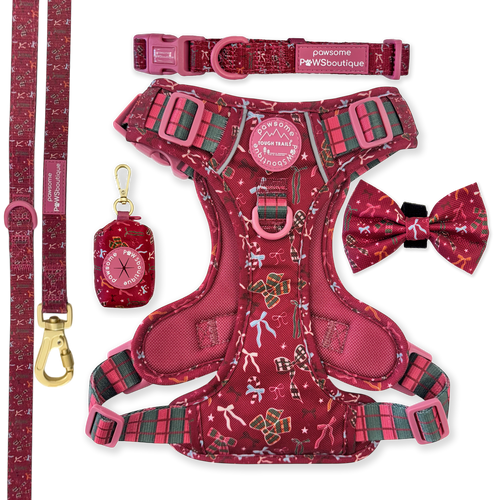 Bows Of Joy Ultimate Bundle