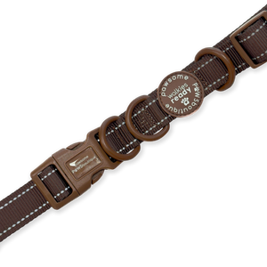 Handsfree Lead - Walkies Ready® Chocolate Brown (New Clip)
