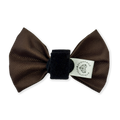 Bow Tie - Walkies Ready® - Chocolate Brown