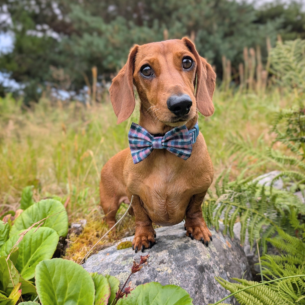 Bow Tie - Tweed Twilight