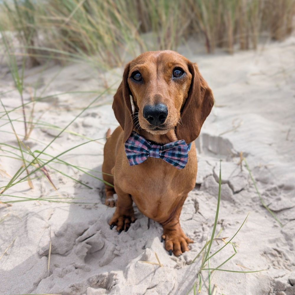 Bow Tie - Tweed Twilight