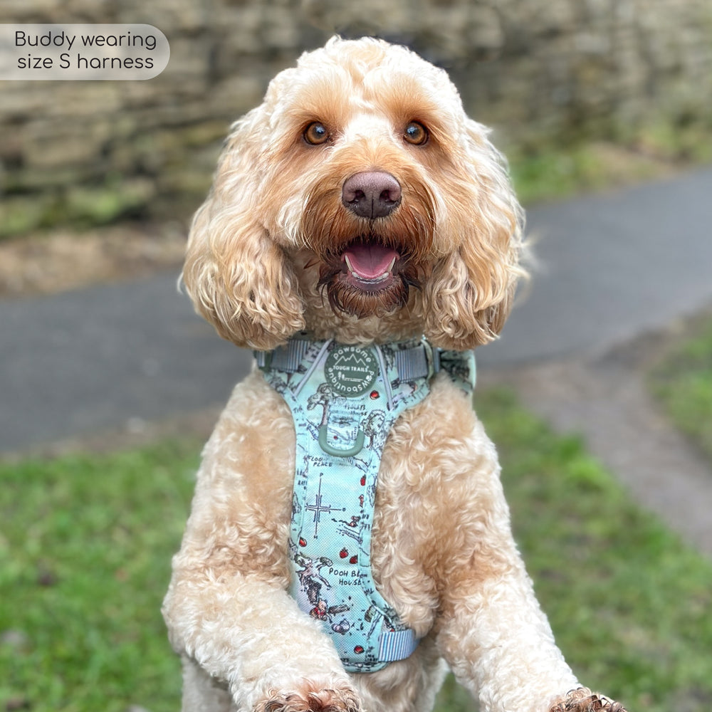 Disney© Tough Trails™ Harness - 100 Aker Wood