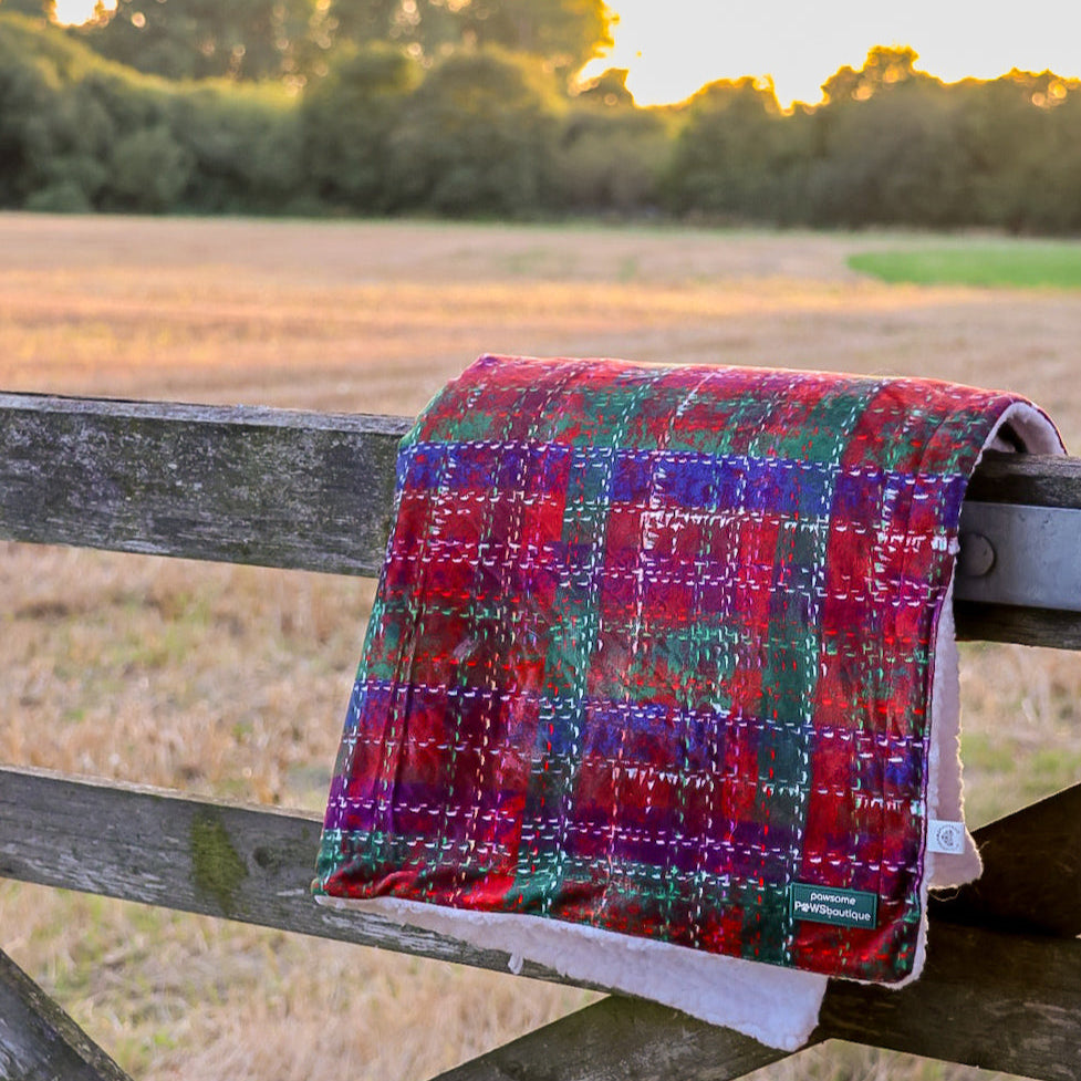 Dog Blanket - Yuletide Plaid