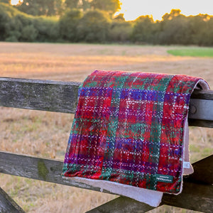 Dog Blanket - Yuletide Plaid