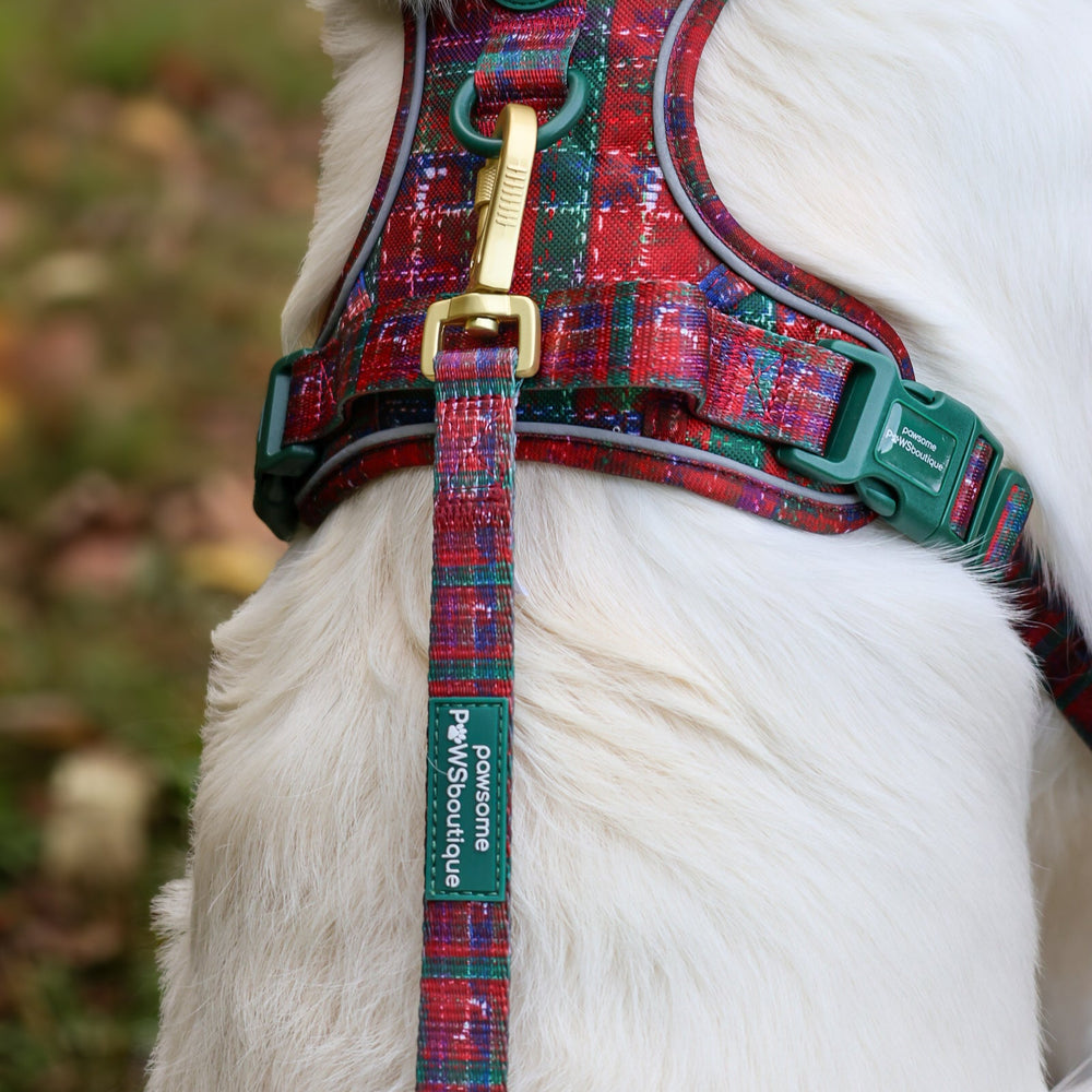 Lead - Yuletide Plaid