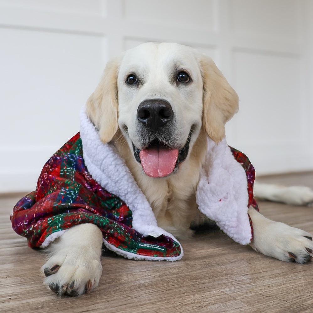 Dog Blanket - Yuletide Plaid