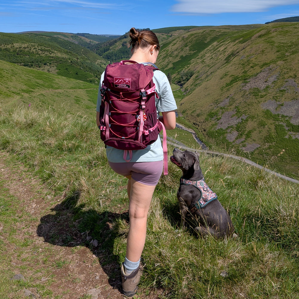 Walkies Ready® Hiking Backpack