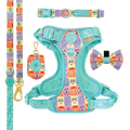 Spongebob Ultimate Bundle