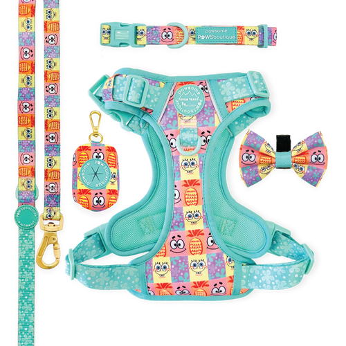 Spongebob Ultimate Bundle