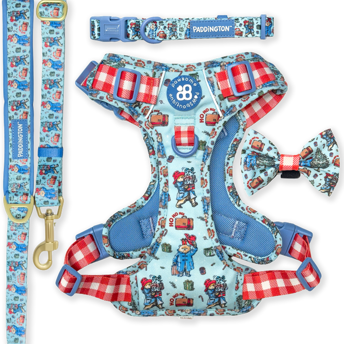 Paddington™ Christmas Ultimate Bundle