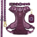 Walkies Ready Plum Ultimate Bundle