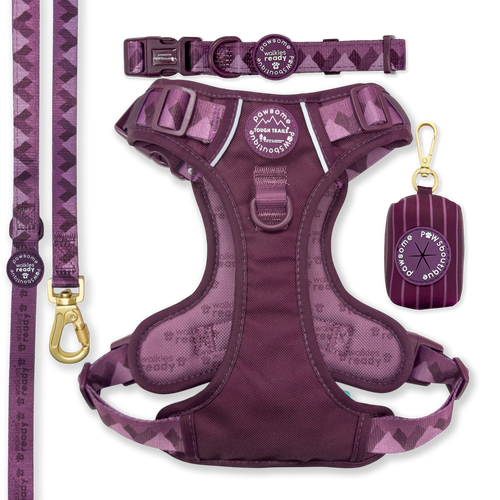 Walkies Ready Plum Ultimate Bundle