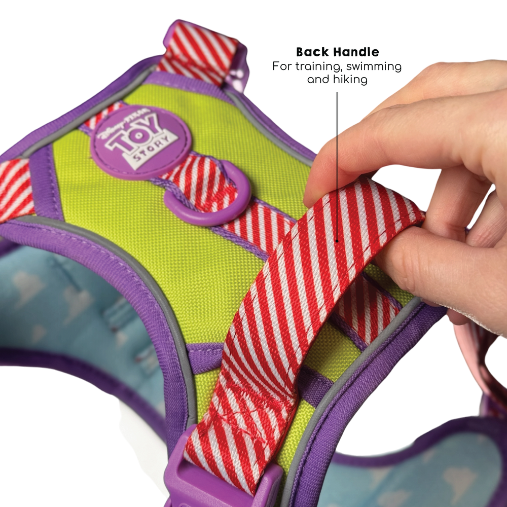 Disney© Tough Trails™ Harness - Buzz Lightyear