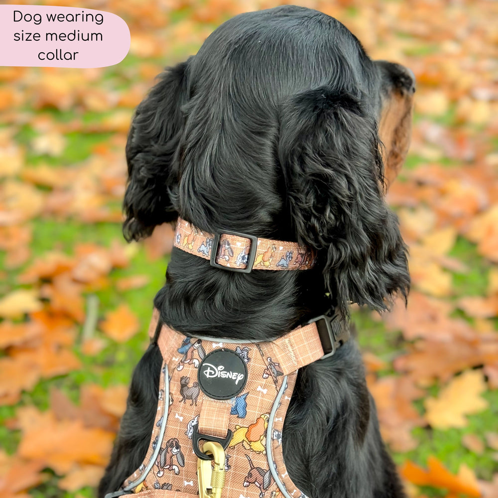 Disney© Collar - Disney Dogs