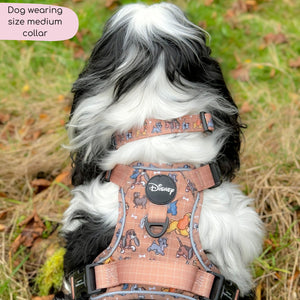 Disney© Collar - Disney Dogs