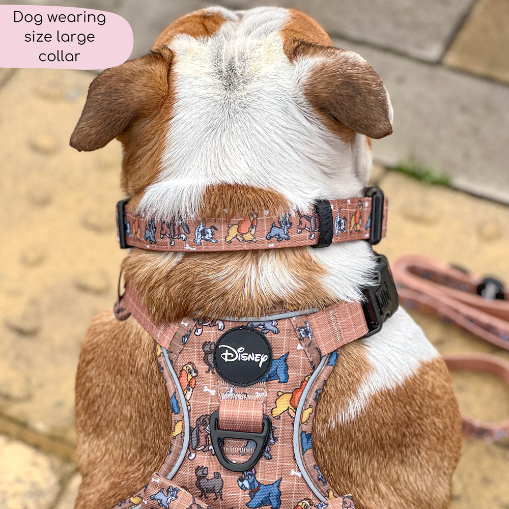 Disney© Collar - Disney Dogs