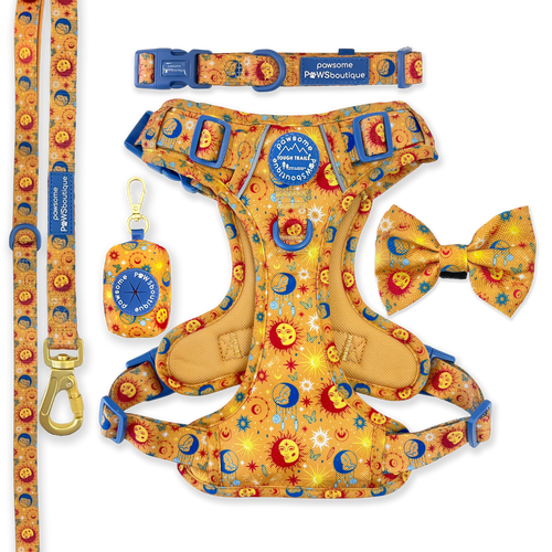 Celestial Spirit Ultimate Bundle