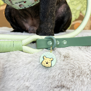 Disney© Collar/Lead Charm - 100 Aker Wood