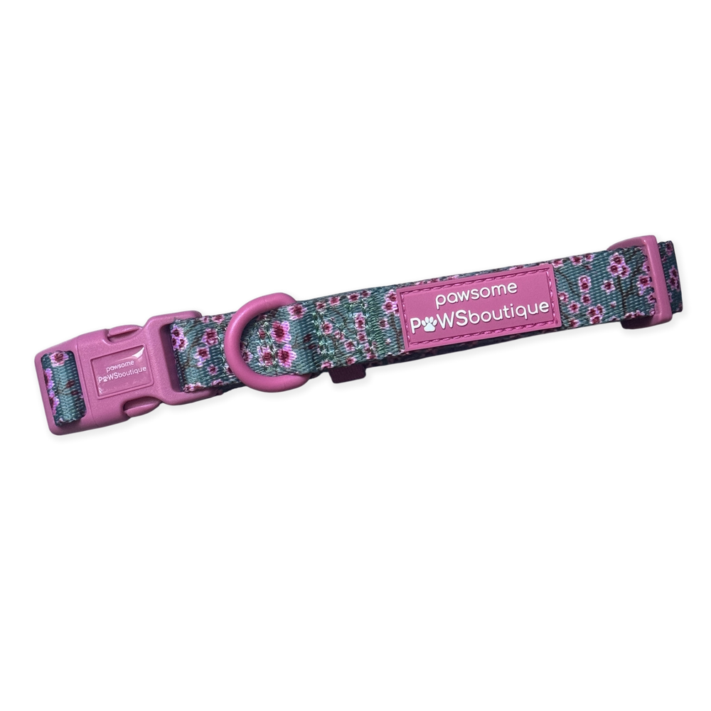 Collar - Cherry Blossom