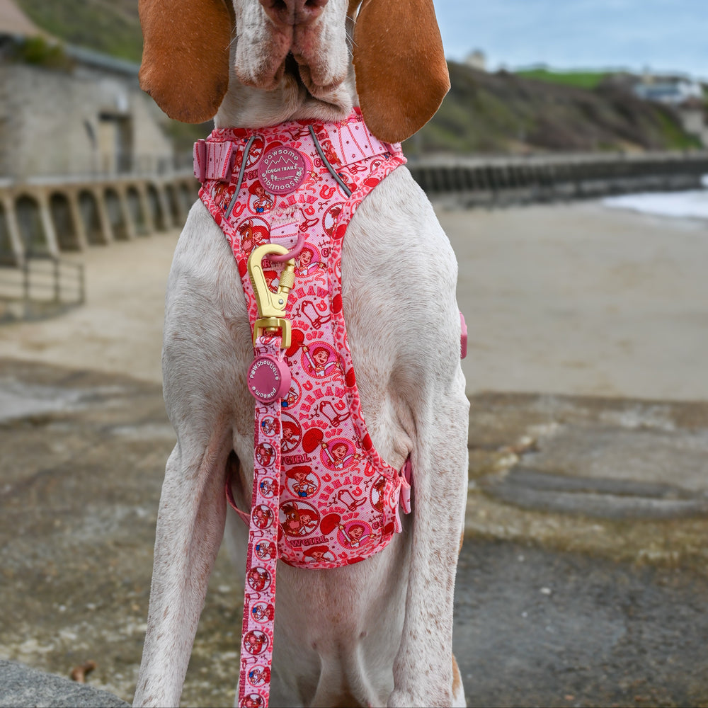 Disney© Lead - Jessie