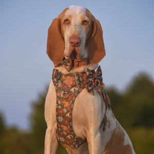 Sailor Bow - Rust & Bloom