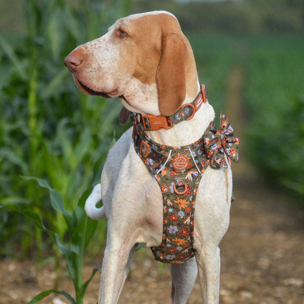 Sailor Bow - Rust & Bloom