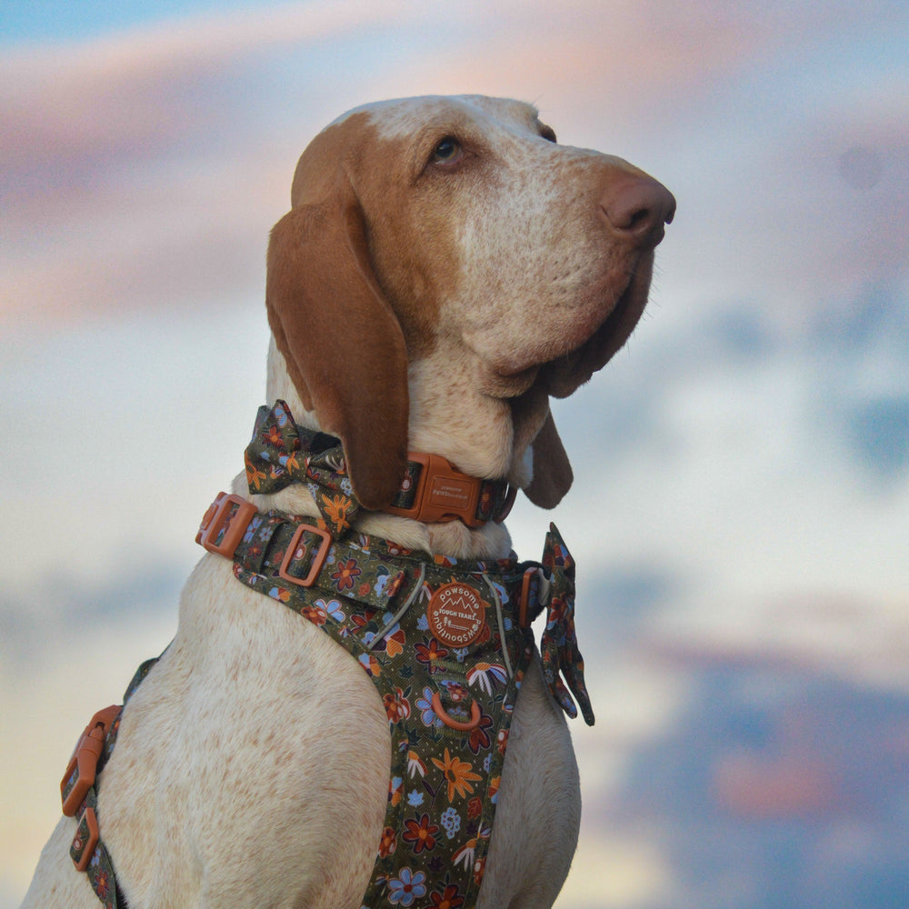 Bow Tie - Rust & Bloom