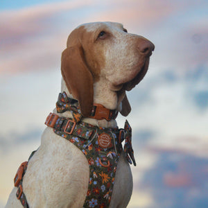 Bow Tie - Rust & Bloom