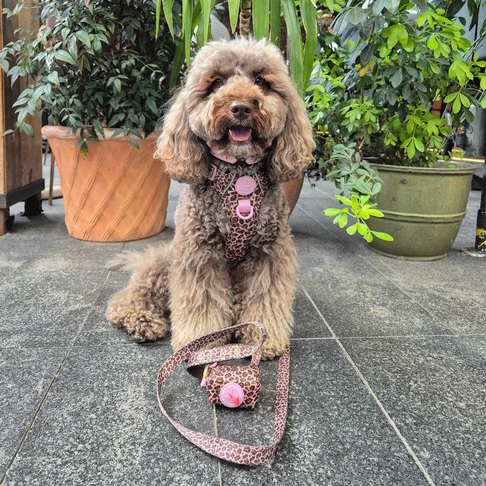 Poo Bag Holder - Leopard Print