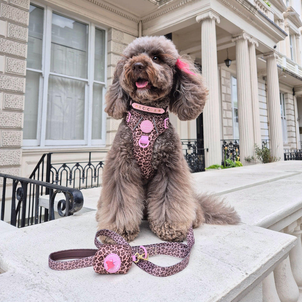 Poo Bag Holder - Leopard Print